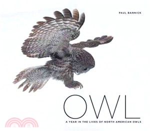 Owl ― A Year in the Life of North American Owls