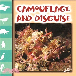 Camouflage and Disguise