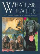 What Labs Teach Us: Life's Lessons Learned from Labrador Retrievers