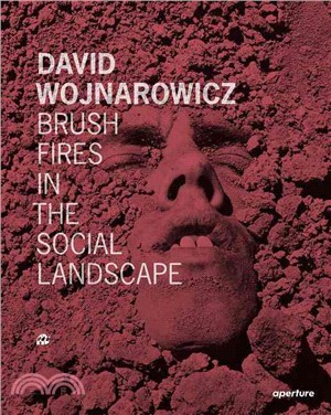 David Wojnarowicz: Brush Fires in the Social Landscape