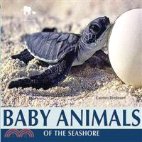 Baby Animals of the Seashore