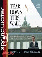 Tear Down This Wall: A City, A President, and the Speech That Ended the Cold War