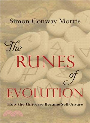 The Runes of Evolution ─ How the Universe Became Self-aware