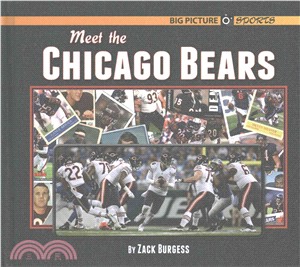 Meet the Chicago Bears