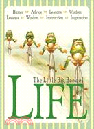 The Little Big Book of Life