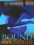 Bound by Moonlight: Noire Passion Erotic Romance