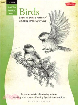 Birds ─ Learn to Draw a Variety of Amazing Birds in Pencil Step by Step