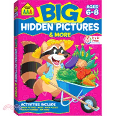 Big Hidden Pictures & More