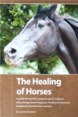 HEALING HORSE