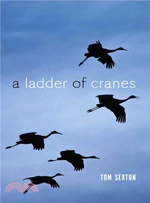 A Ladder of Cranes
