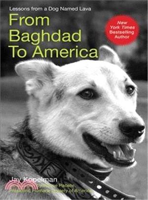 From Baghdad to America: Life After War For A Marine and His Rescued Dog