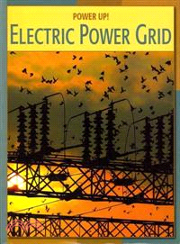 Electric Power Grid