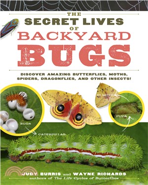 The Secret Lives of Backyard Bugs ─ Discover Amazing Butterflies, Moths, Spiders, Dragonflies, and Other Insects!
