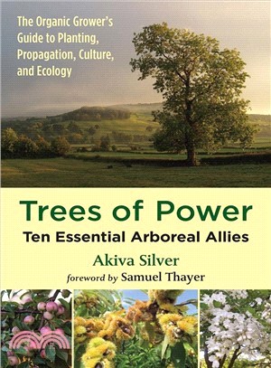 Trees of Power ― Ten Essential Arboreal Allies