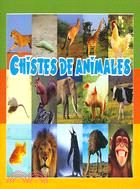 Chistes de animales/ Fun with Animals