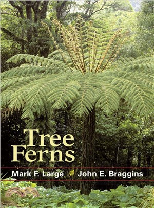 Tree Ferns