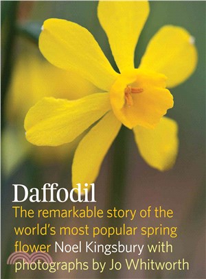 The Daffodil ― Discover the Remarkable Story of the World's Most Popular Spring Flower