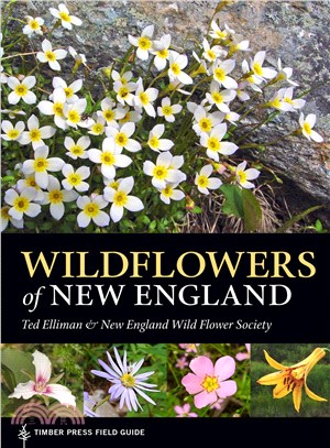 Wildflowers of New England