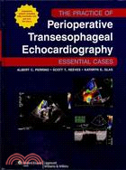 The Practice of Perioperative Transesophageal Echocardiography ─ Essential Cases