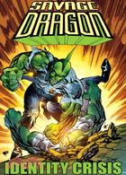 Savage Dragon: Identity Crisis