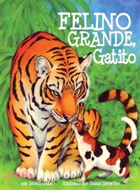 Felino grande, gatito/ Big Cat, Little Kitty