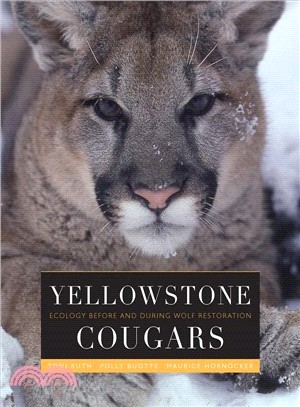 Yellowstone Cougars ― Ecology Before and After Wolf Restoration