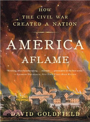 America Aflame ─ How the Civil War Created a Nation