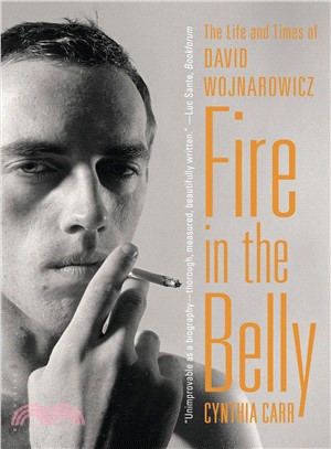 Fire in the Belly ─ The Life and Times of David Wojnarowicz