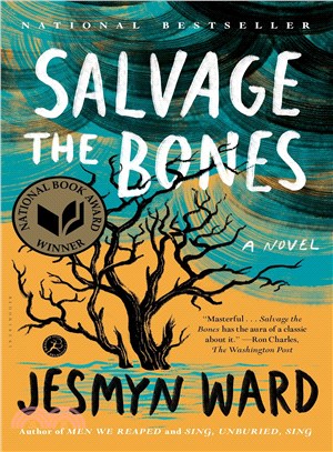 Salvage the bones :a novel /