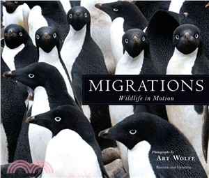 Migrations ─ Wildlife in Motion