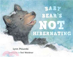 Baby Bear's not hibernating ...
