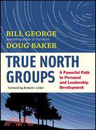 TRUE NORTH GROUPS