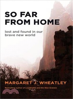 So far from home :lost and found in our brave new world /