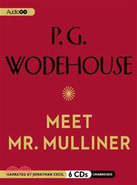 Meet Mr. Mulliner 