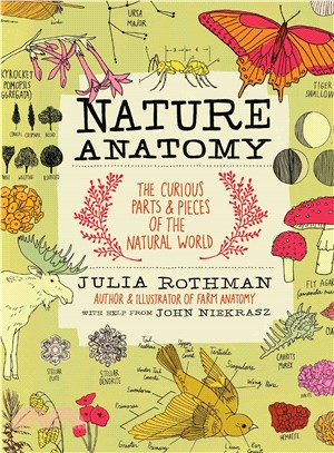 Nature anatomy :the curious parts & pieces of the natural world /