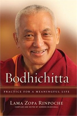 Bodhichitta : Practice for a Meaningful Life