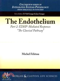 The Endothelium