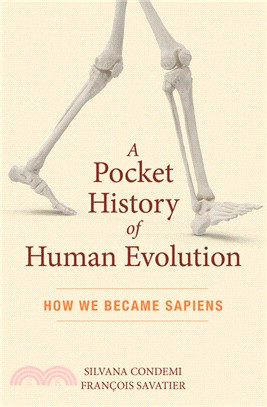 A Pocket History of Human Evolution ― How We Became Sapiens
