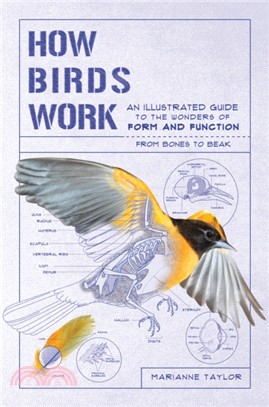 How Birds Work ― An Illustrated Guide to the Wonders of Form and Function―from Bones to Beak
