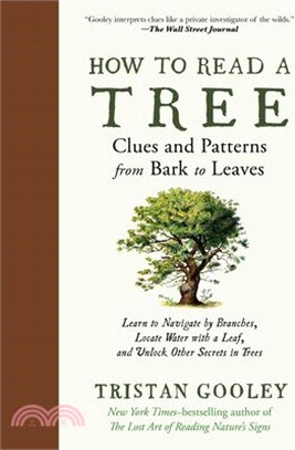 How to Read a Tree: Clues and Patterns from Bark to Leaves