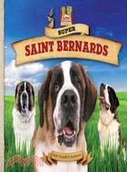 Super Saint Bernards