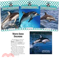 Dolphins Set 1