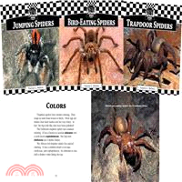 Spiders Set 1