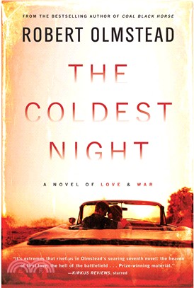 The coldest night :a novel /