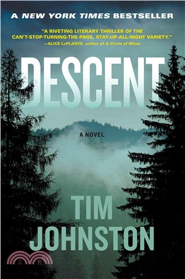 Descent :a novel  /