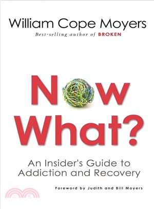 Now What? ─ An Insider's Guide to Addiction and Recovery