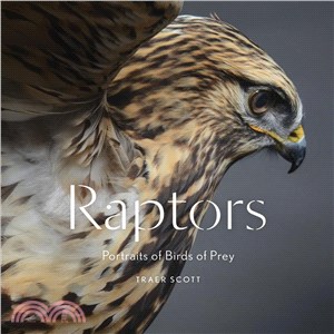 Raptors ─ Portraits of Birds of Prey