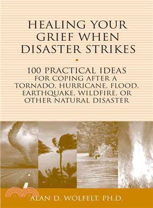 Healing Your Grief When Disaster Strikes ─ 100 Practical Ideas for Coping After a Tornado, Hurricane, Flood, Earthquake, Wildfire, or Other Natural Disaster