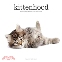 Kittenhood ─ Life-Size Portraits of Kittens in Their First 12 Weeks