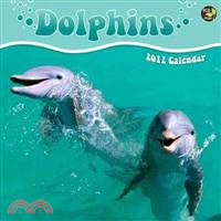 Dolphins 2012 Calendar